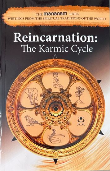 Picture of Reincarnation: The Karmic Cycle