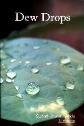 Picture of Dew Drops