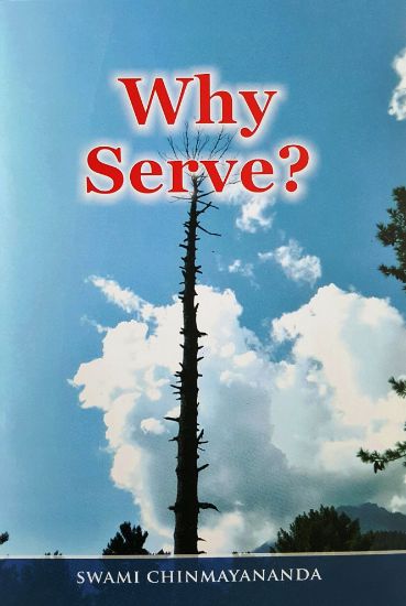 Picture of Why Serve?