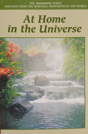 Picture of At Home in the Universe
