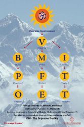 Picture of BMI Chart printed poster 24"x36"