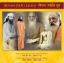 Picture of Jeevan Jyoti Guru